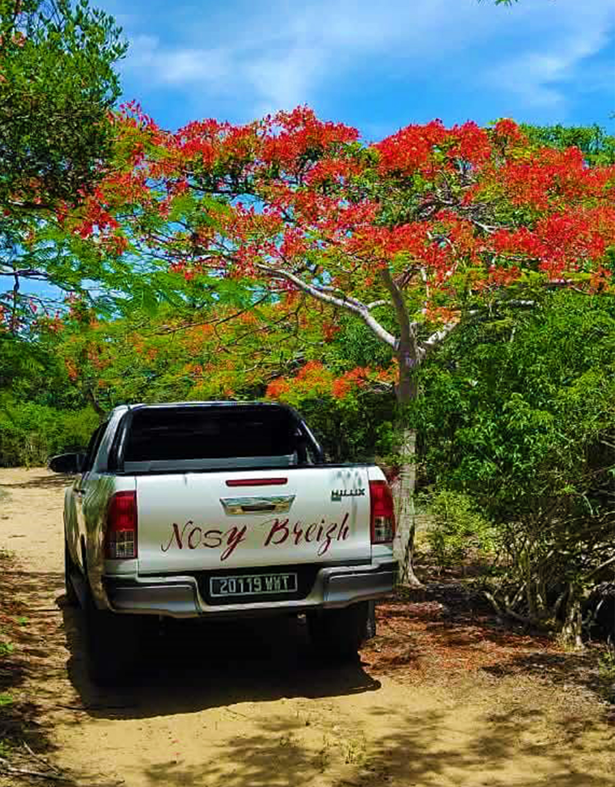 Excursion terrestre dans la forêt de Lokobe à Nosy Be - Lémuriens et nature préservée