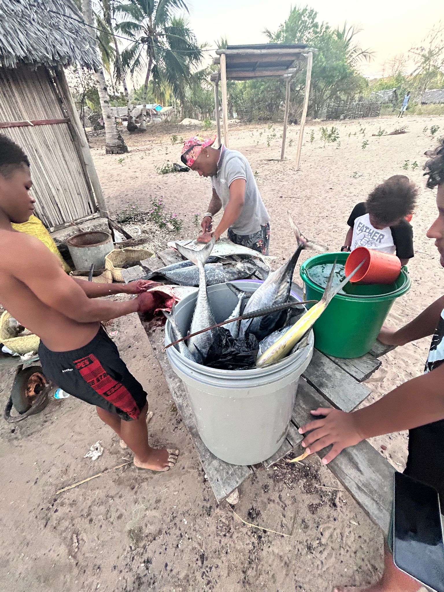 whatsapp image 2025 08 23 à 11.39.00 21941ba9