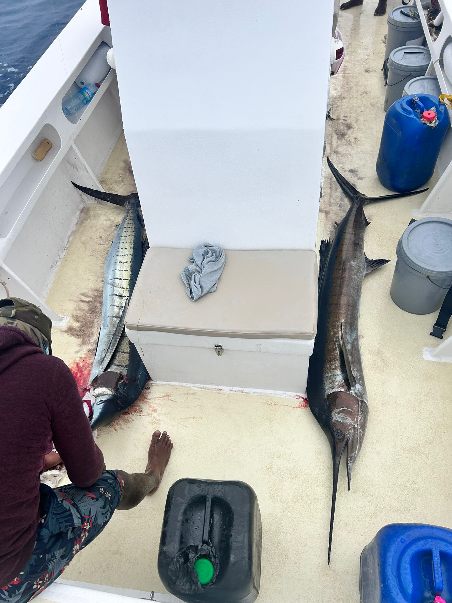 whatsapp image 2025 08 23 à 11.42.10 4ab394b9